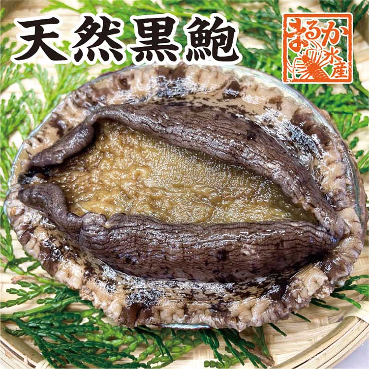 楽天市場】活黒あわび Ｍサイズ 170ｇ〜200ｇ 1枚 [あわび] : まるか