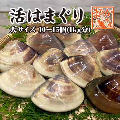 楽天市場】活はまぐり 大サイズ 70ｇ〜100ｇ 5〜7個 500ｇ分 国産 [はまぐり] : まるか水産楽天市場店