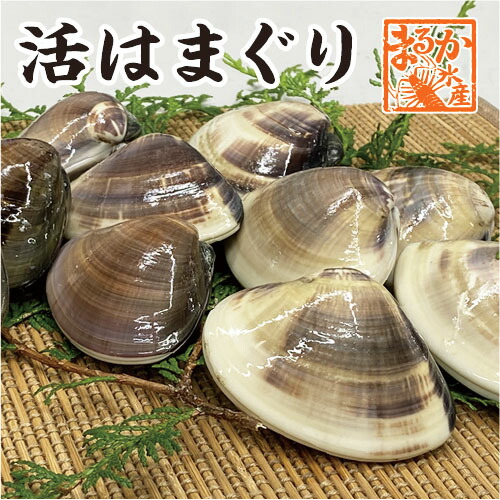 hamagurixhdpi.jpg