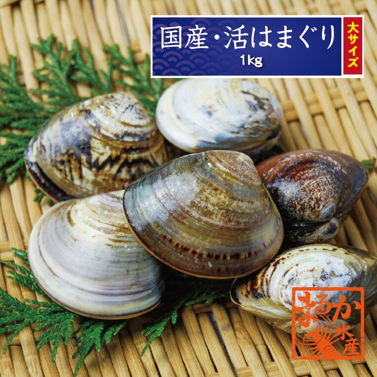 市場 冷凍 70ｇ〜100ｇ 大サイズ はまぐり 10〜15個