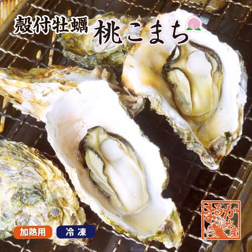 冷凍 殻付牡蠣「桃こまち」加熱用 大量パック★ [牡蠣]