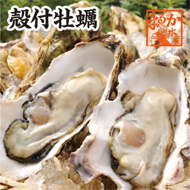 楽天市場】天然活さざえ 小サイズ １ｋｇ １５個 ５０ｇ〜７０ｇ [さざえ] : まるか水産楽天市場店