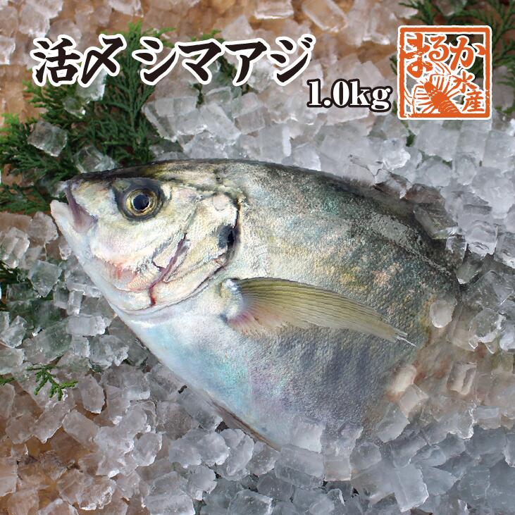 楽天市場】活〆ひらめ 捌いてお届け！(スキンレス）800g 1尾