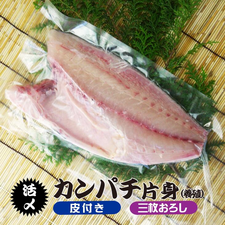 活〆カンパチ 片身 捌いてお届け！ 三枚おろし 皮付き 3.5～4.0kgサイズの半分（養殖）[魚介類] 5,658円