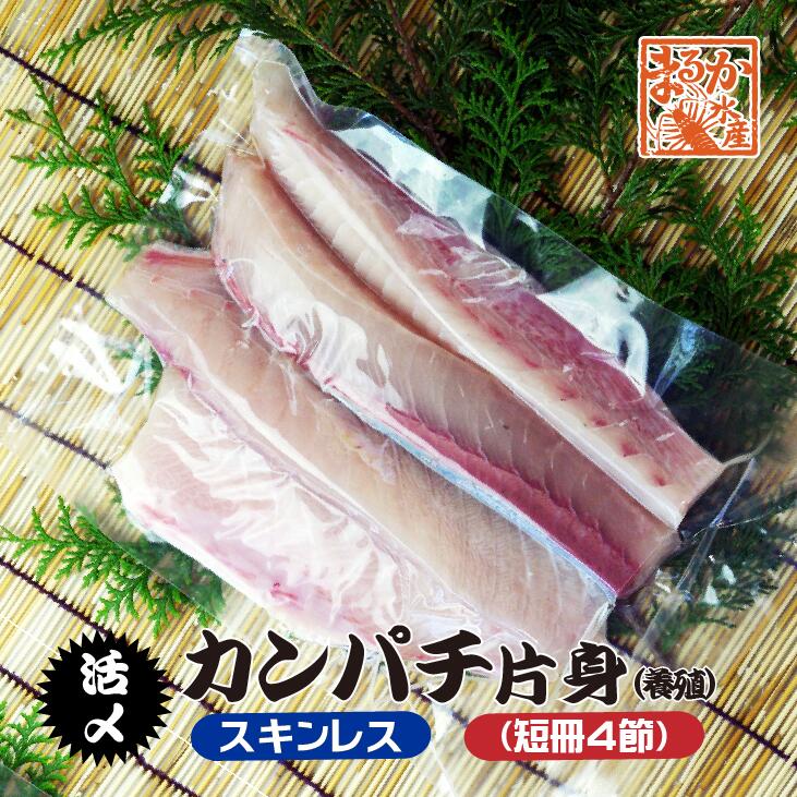 活〆カンパチ 片身 捌いてお届け！ スキンレス 短冊4節 3.5～4.0kgサイズの半分（養殖）[魚介類]
