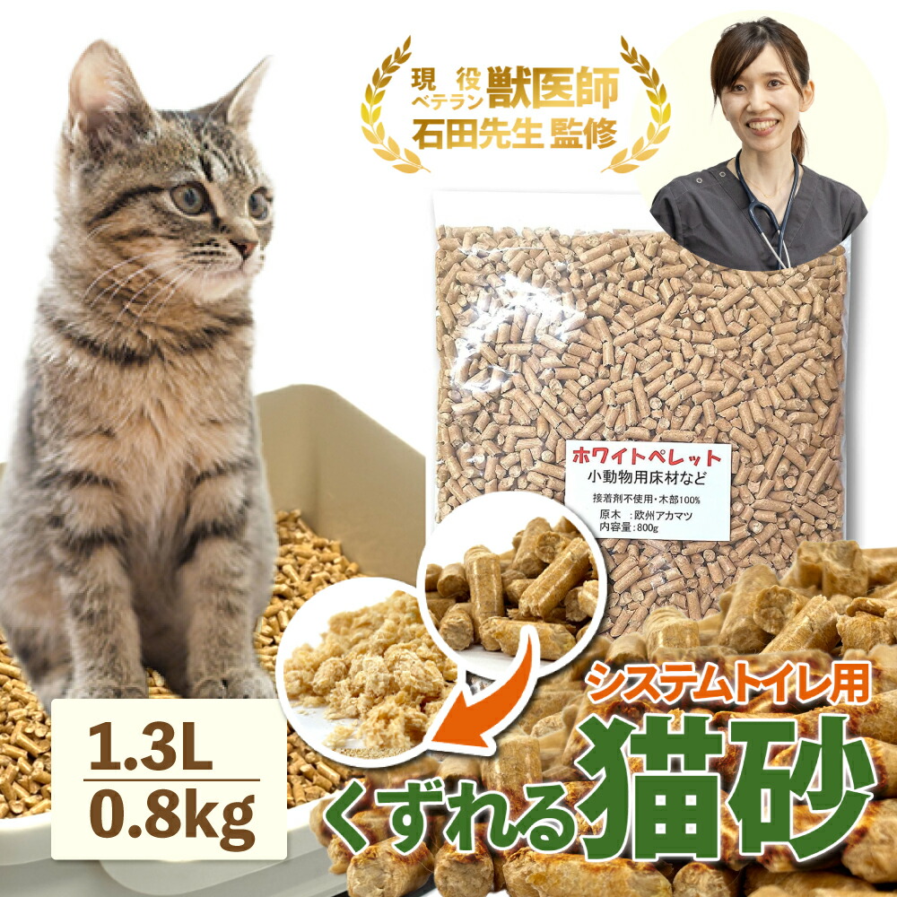 猫皮　三味線　やぶれ無し 三味線 トチ紅木 綾杉胴 細棹 一本溝 猫皮 天然素材糸巻き 和