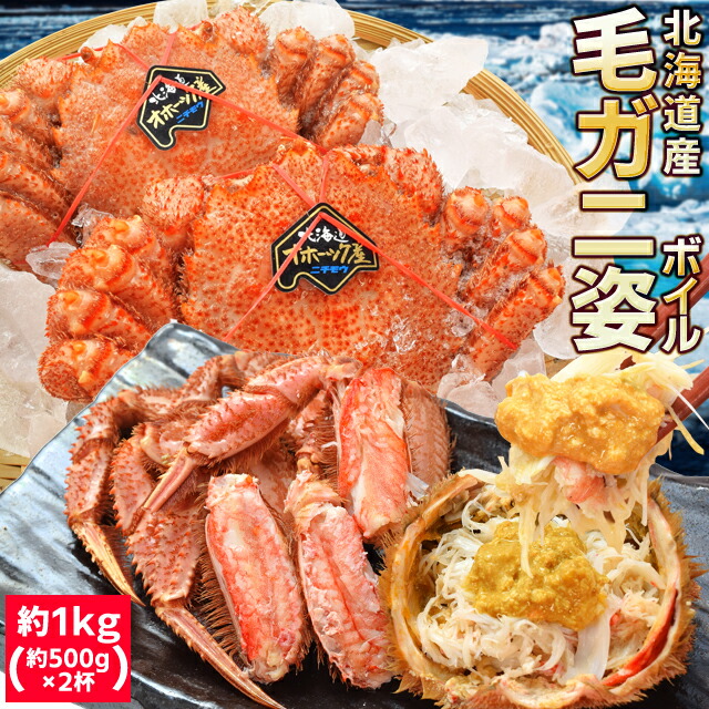 毛ガニ 姿 ボイル ２尾 約１ｋｇ（約５００ｇ×２杯） 北海道 ブランドタグ付 毛蟹 毛がに 冷凍 送料無料 蟹 かにみそ 海鮮 卒業祝い ギフト