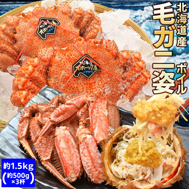 毛ガニ 姿 ボイル ３尾 約１．５ｋｇ（約５００ｇ×３杯） 北海道 ブランドタグ付 毛蟹 毛がに 冷凍 送料無料 蟹 かにみそ 海鮮 母の日 ギフト