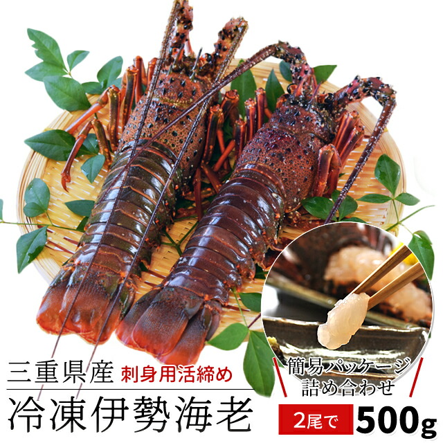 三重県産 伊勢海老詰合せ ２尾で約５００ｇ 送料無料 刺身用瞬間冷凍 伊勢エビ p2 父の日 ギフト