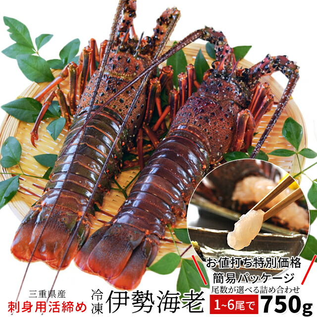 伊勢海老 三重県伊勢志摩産 １～６尾で約７５０ｇ 送料無料 刺身用瞬間冷凍 伊勢エビ 訳あり イセエビ 父の日 ギフト