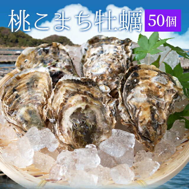 桃こまち 牡蠣 カンカン焼き 50個 ミニ缶入 （牡蠣ナイフ