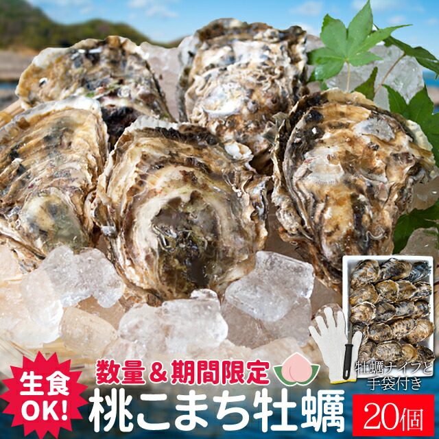 桃こまち 牡蠣 ２０個入 殻付き牡蠣 生食可（牡蠣ナイフ・片手用軍手付き）三重県鳥羽の離島 桃取の希少牡蛎 浦村 発泡箱入り 卒業祝い ギフト