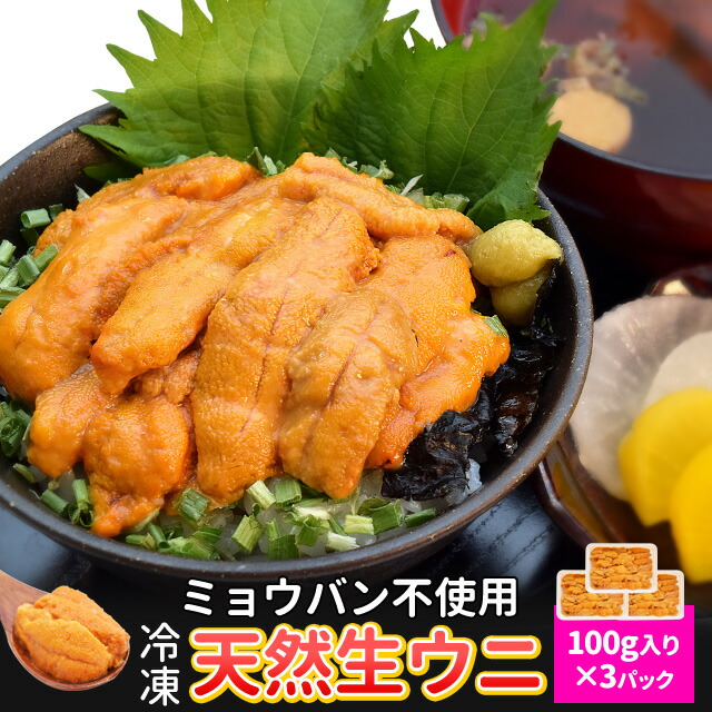 うに １００ｇ×３ 冷凍 ウニ 刺身 雲丹 無添加 最上級グレード チリ産 海鮮丼