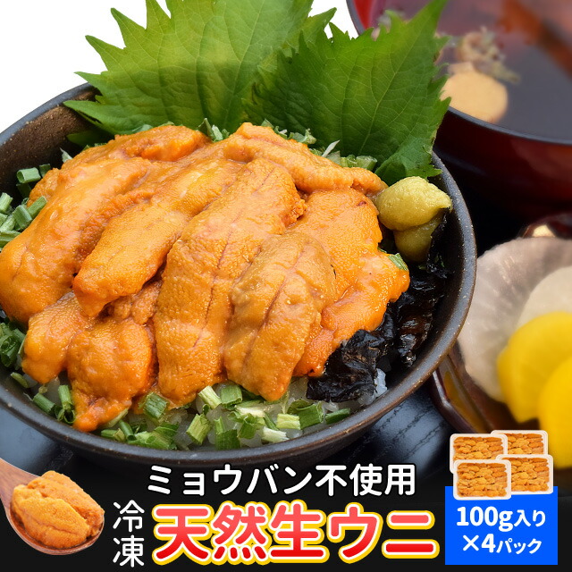 うに １００ｇ×４ 冷凍 ウニ 刺身 雲丹 無添加 最上級グレード チリ産 海鮮丼