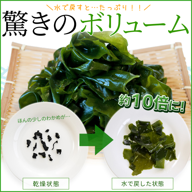 国内産100% カットわかめ 500g （チャック袋入）の+