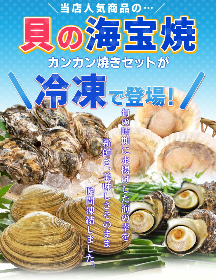 市場 貝の海宝焼 ほたて片貝１０個 冷凍便配送 冷凍貝セット 牡蠣４個 ホンビノス貝２個 牡蠣ナイフ さざえ２個