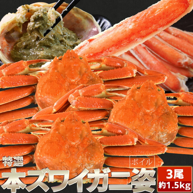 かに ずわいがに ボイル 姿 ３尾で１.５ｋｇ前後（５００ｇ前後×３ハイ） かにみそ 年末年始 送料無料 本ズワイガニ 蟹