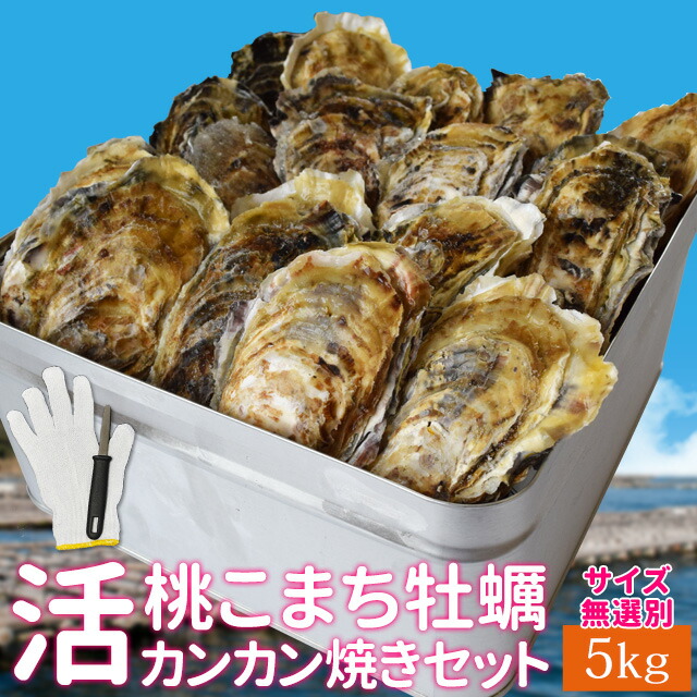 大特価 pop カンカン焼き 牡蠣 楽天市場】桃こまち 50個 （牡蠣 ミニ缶入 貝類