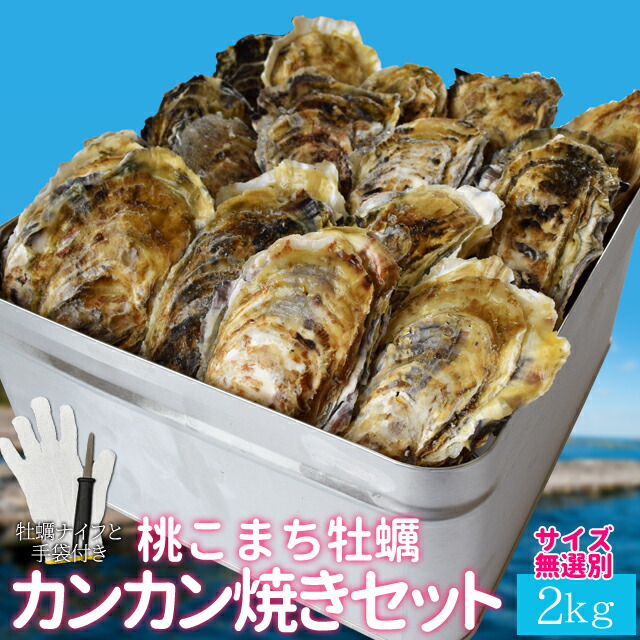 牡蠣しぐれ１３０ｇ 伊勢志摩特産 KRSM 志摩 メール便送料無料 伊勢 NP お土産 三重県