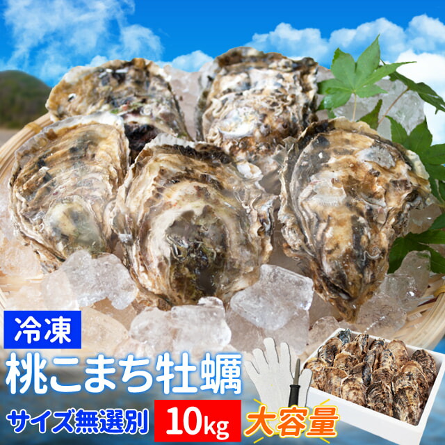 牡蠣 サイズ無選別 １０ｋｇ 冷凍牡蠣 送料無料 桃こまち 鳥羽産（発泡箱入・牡蠣ナイフ・片手用軍手付き）殻付き牡蠣 海鮮バーベキューセット 旬凍桃こまち