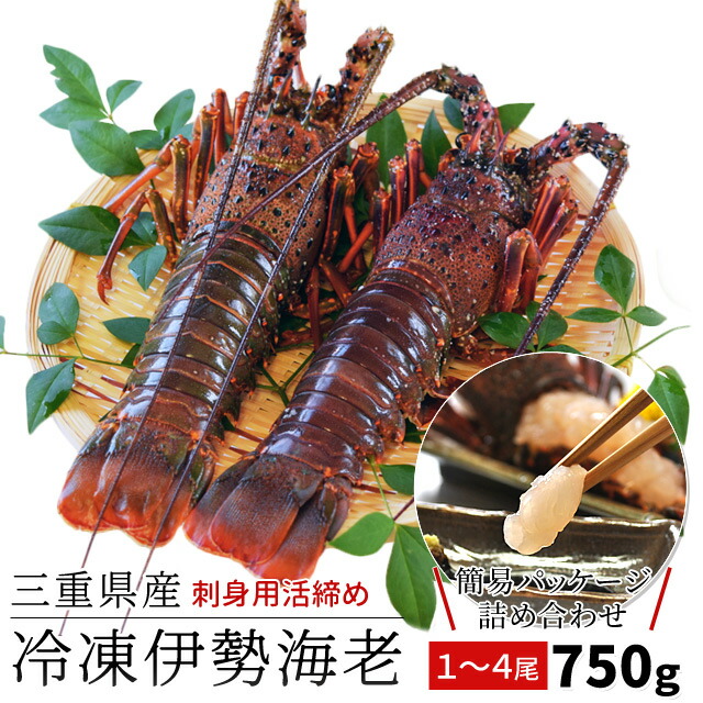 三重県産 伊勢海老詰合せ １尾～４尾で約７５０ｇ 送料無料 刺身用瞬間冷凍 伊勢エビ 尾数選べます p2 父の日 ギフト