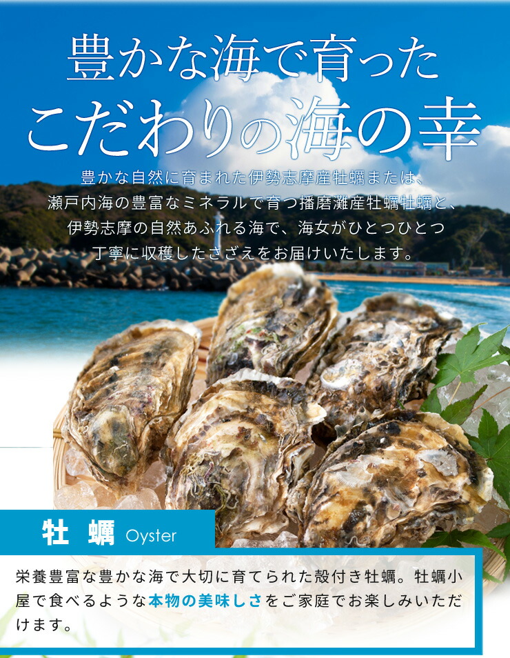 市場 牡蠣 さざえカンカン焼きセット 冷凍 ミニ缶入り 片手用軍手付き 送料無料 牡蠣ナイフ 牡蠣２０個とサザエ１０個