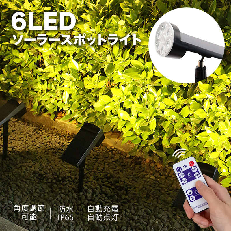 たね グリーンフィールドプロジェクト へちま　太ヘチマ　小袋
