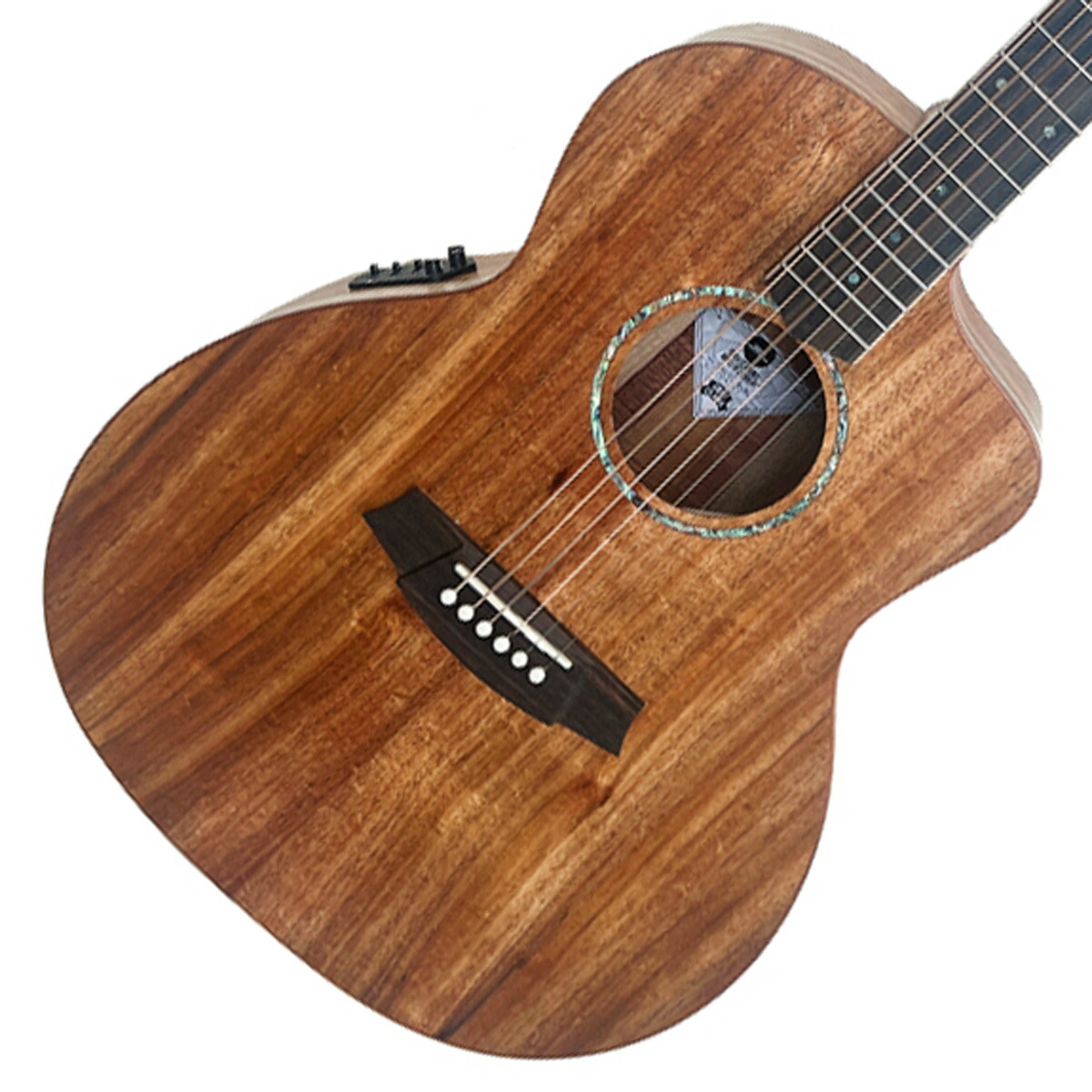 楽天市場】Cole Clark CCFL2EC-BB ~Bunya×Blackwood~ #220839872