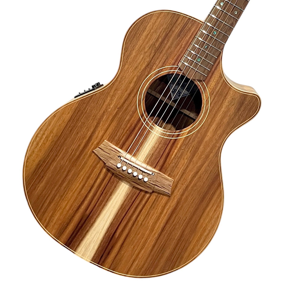 楽天市場】Cole Clark CCFL2EC-BB ~Bunya×Blackwood~ #220839872