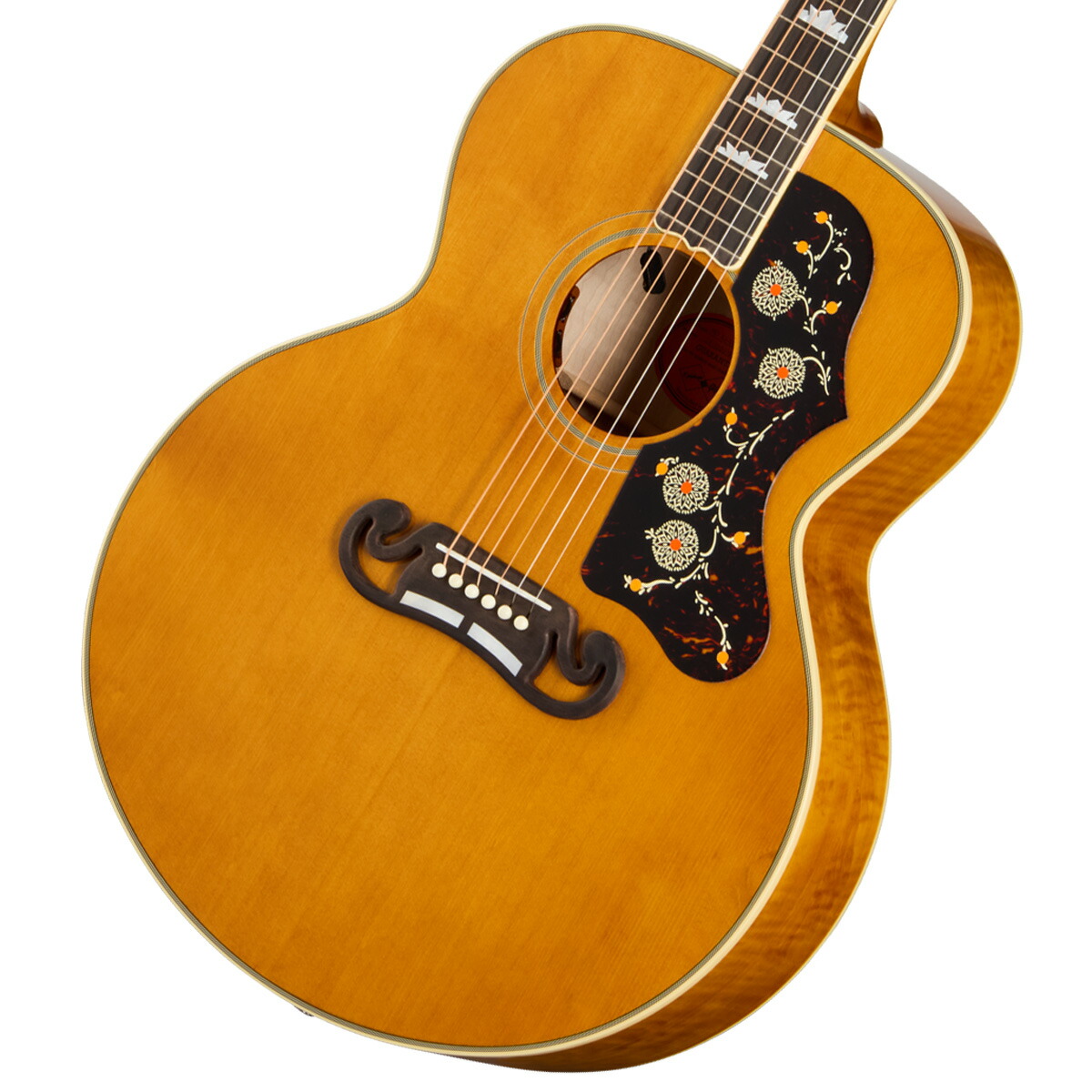 楽天市場】Epiphone Limited Edition 1958 Korina Moderne 新品