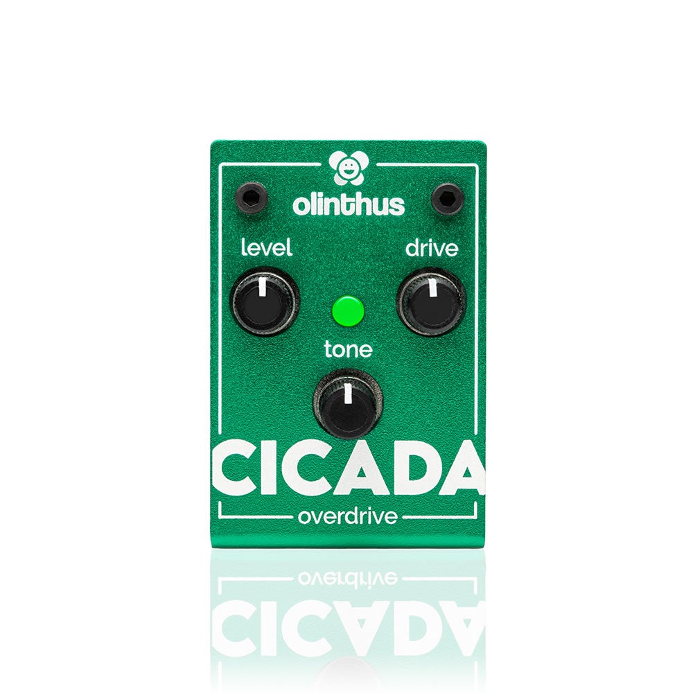 《セール品》Olinthus オリンサス / CICADA オーバードライブ【国内正規品】｜イシバシ楽器 17Shops