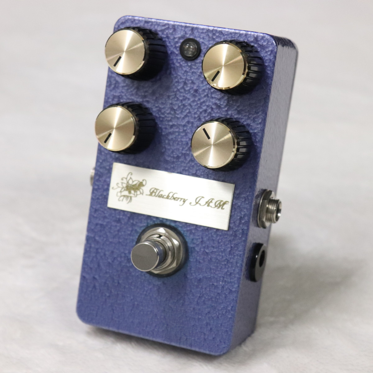 ギター black berry jam Rosemary Rex