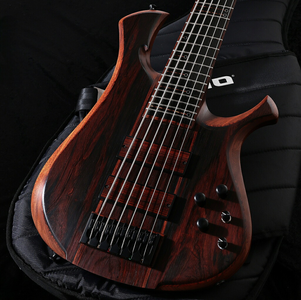 【中古】MBJ GUITARS / The Double Bit 6st Jacaranda Top 【御茶ノ水本店】｜イシバシ楽器 17Shops