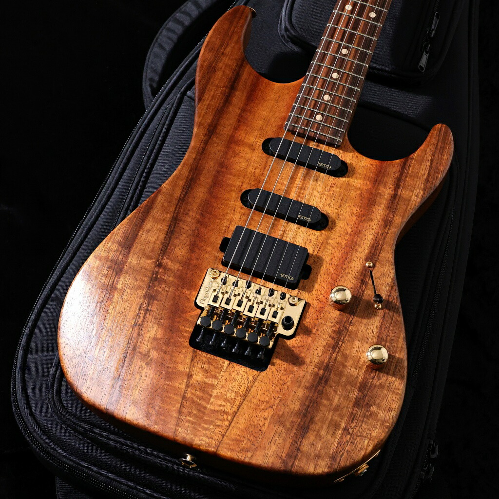【中古】SUHR / Reb Beach Signature Standard 【御茶ノ水本店】｜イシバシ楽器 17Shops