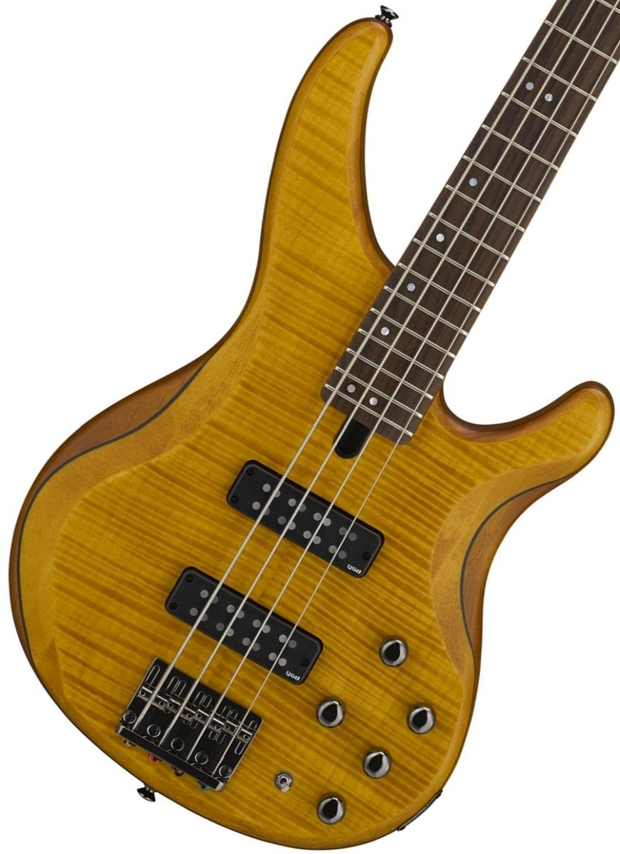 YAMAHA / TRBX604FM Mat Amber (MAM) 【新宿店】|イシバシ楽器 17Shops