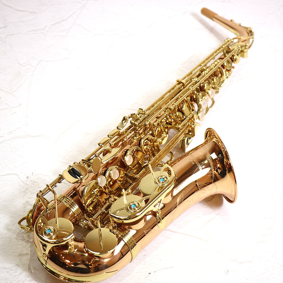 YANAGISAWA / ヤナギサワ A-WO2 アルトサックス 【1年保証】 【S/N 00429203】【名古屋栄店】|イシバシ楽器 17Shops