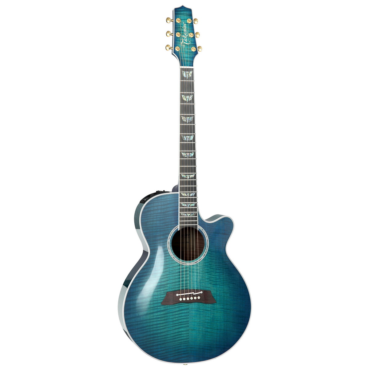 TAKAMINEアコースティックギター Takamine タカミネ エレクトリックアコースティックギター 100