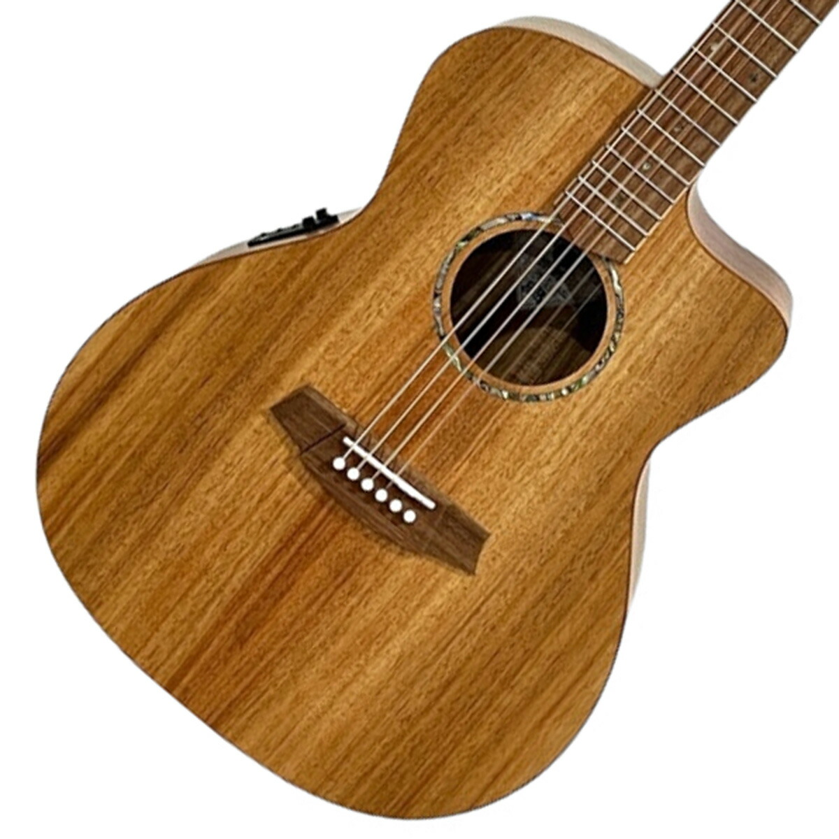 楽天市場】Cole Clark CCFL2EC-BB ~Bunya×Blackwood~ #220839872