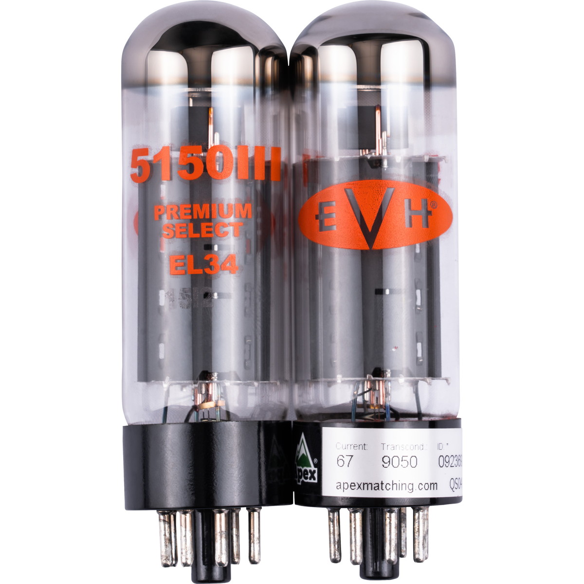 《WEBSHOPクリアランスセール》EVH / EL34 Tube Kit Pair イーブイエイチ 真空管 パワー管 2本セット【PNG】