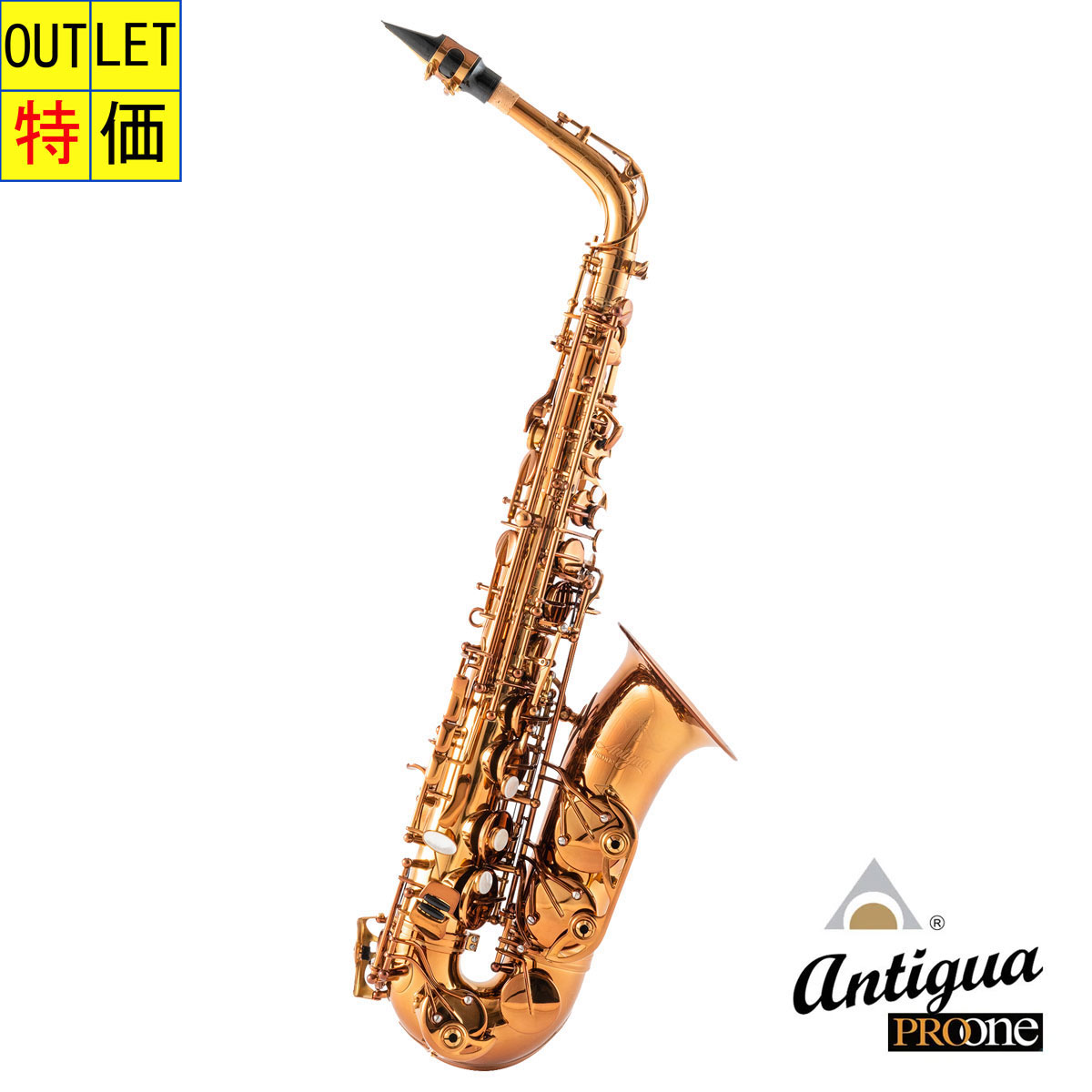 楽天市場】ANTIGUA / AS PROONE AM W/CASE アンティグア アルト