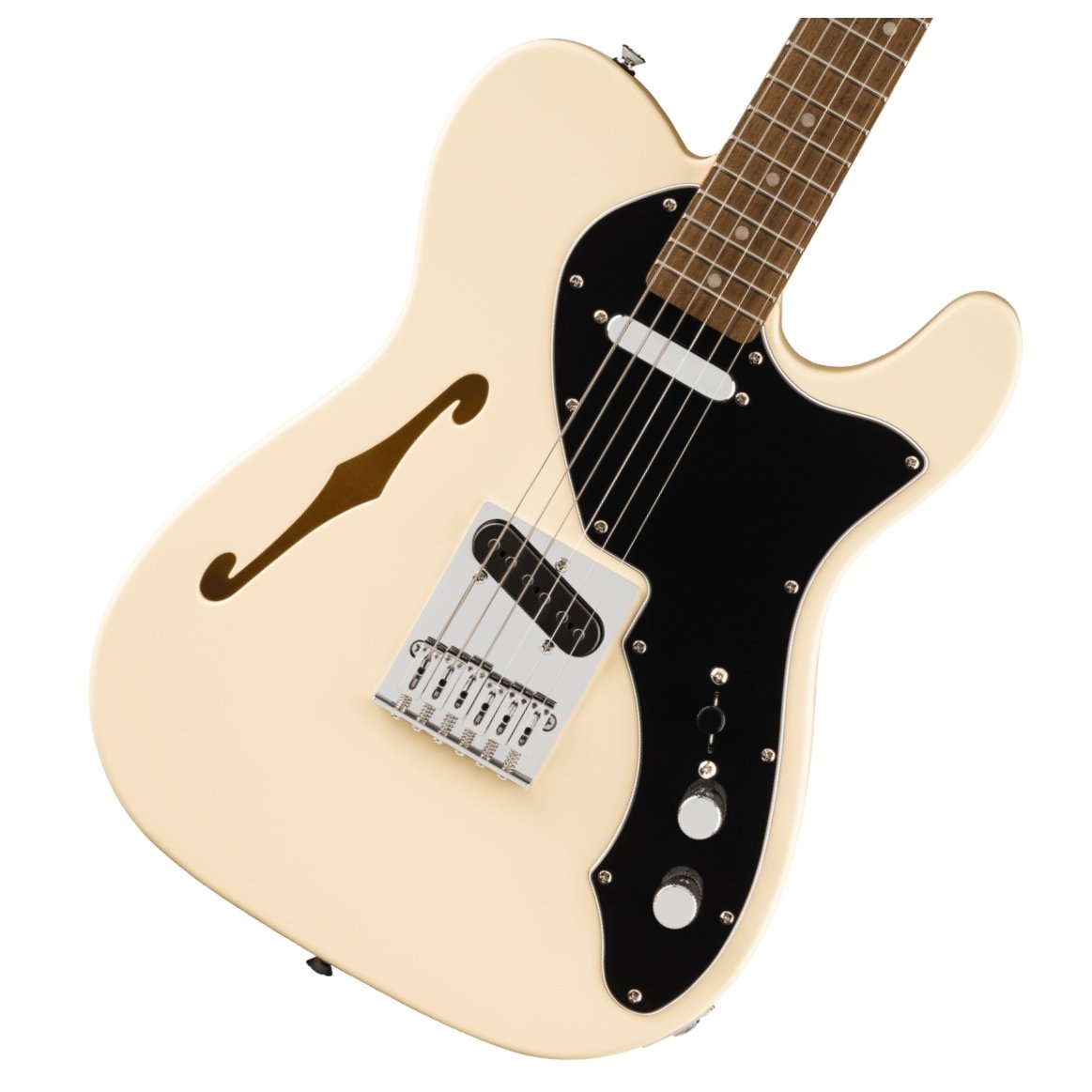楽天市場】Squier / Paranormal Cabronita Telecaster Thinline Maple