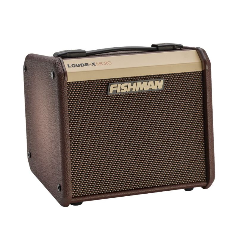 《セール品》【未展示在庫】 FISHMAN / Loudbox Micro Amplifier PRO-LBT-400 フィッシュマン 40W 40ワット アコースティック楽器用アンプ 【国内正規品】【PNG】