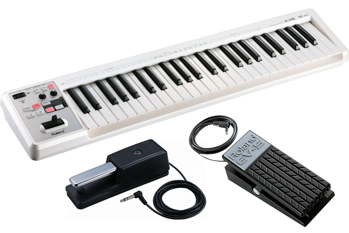Roland / A-49 WH [ダンパーペダル DP-10 + エクスプレッション・ペダル EV-5 セット！] 49鍵MIDIキーボード(A49)【PNG】