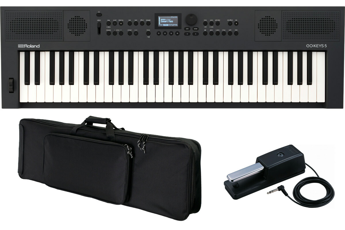 Roland ローランド / GOKEYS5-GT [背負えるキャリング・バッグ ＆ ダンパーペダルセット] (GO:KEYS 5) グラファイト Digital Keyboard【YRK】｜イシバシ楽器　ＷＥＢ　ＳＨＯＰ