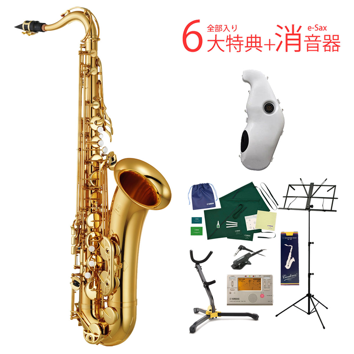 NEW売り切れる前に☆ 《6大特典+消音器イーサックス付き》