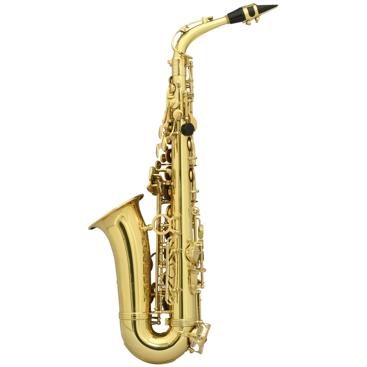 Selva セルバ 初心者向けアルトサックス入門セット Altosax Sas 100