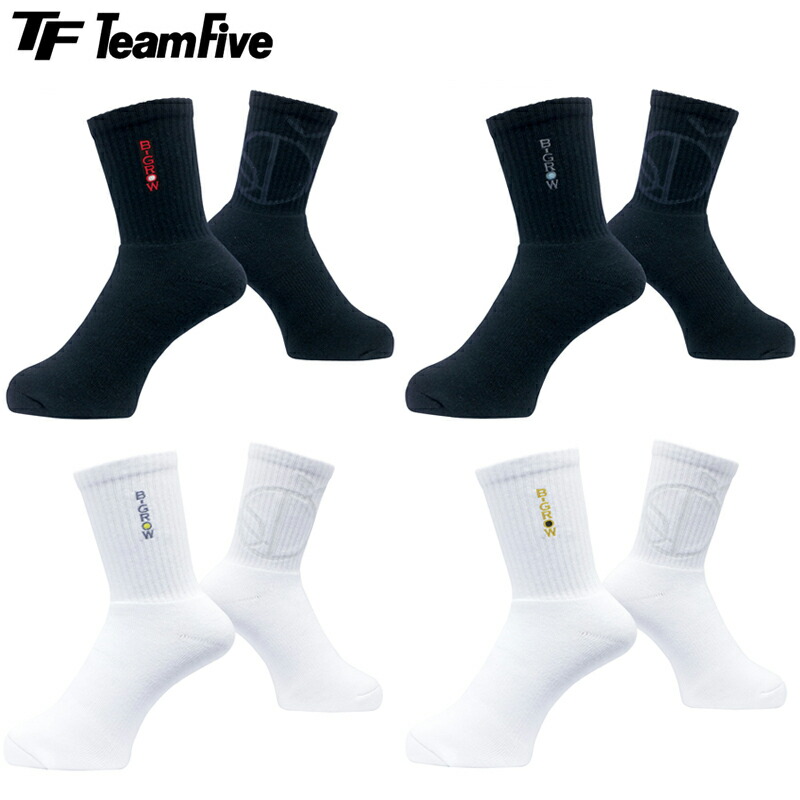 ソックス Alpinestars TECH-1 Z v3 Shoe, SFI 3.3 Approved | Pegasus