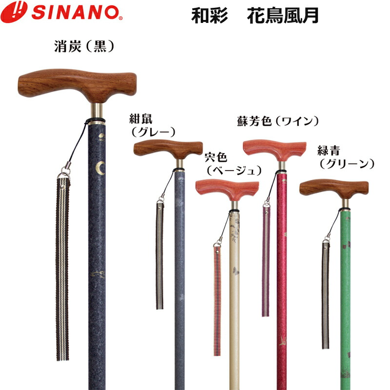 新体操ってどんな運動競技？愛らしさやおすすめの品目を語ります！
