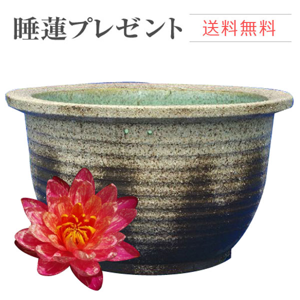 ウィンターセール執り行なう！