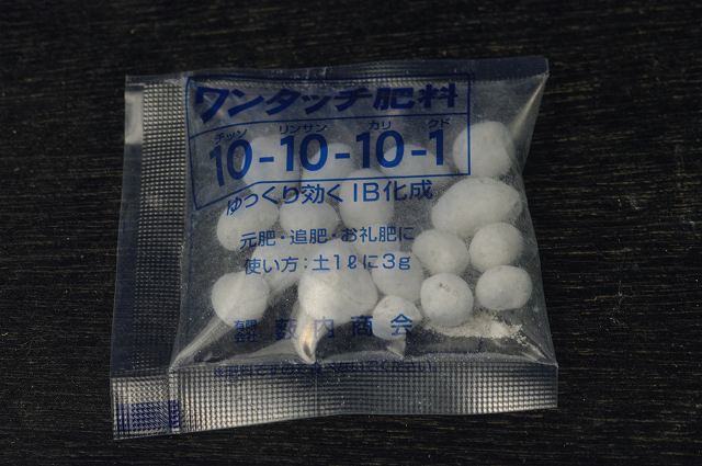 楽天市場】クリスマスローズ実生用長期化成肥料 10g×250袋 : 石田精華